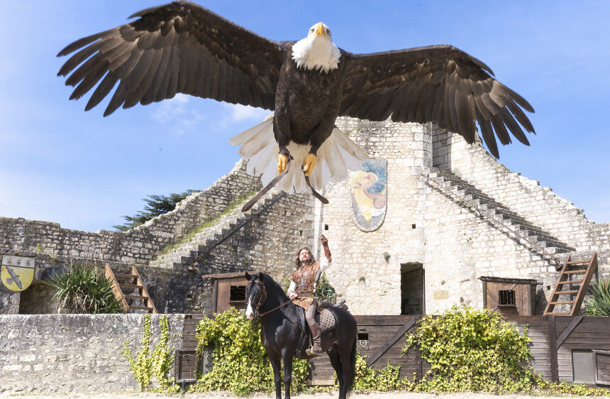 les-aigles-des-remparts-provins-taxi